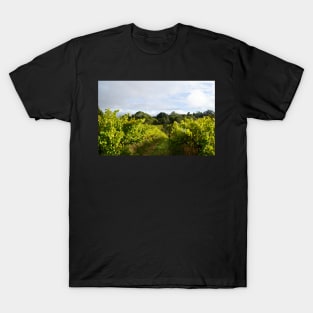 Vineyard T-Shirt